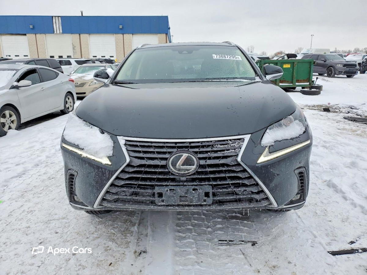 Lexus NX 2019