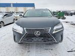 Lexus NX 2019