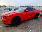 Ford Mustang 2014