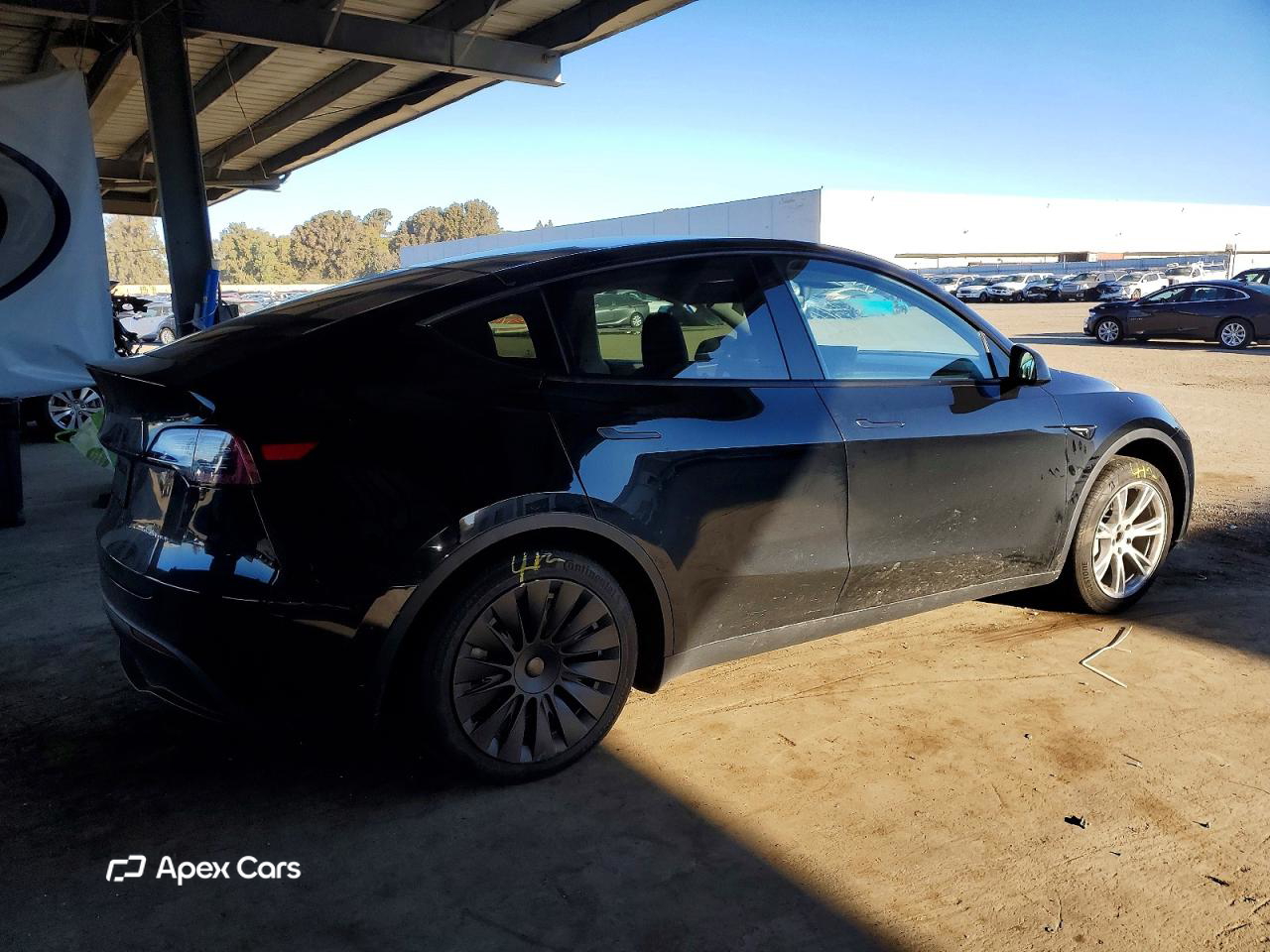 Tesla Model Y 2020