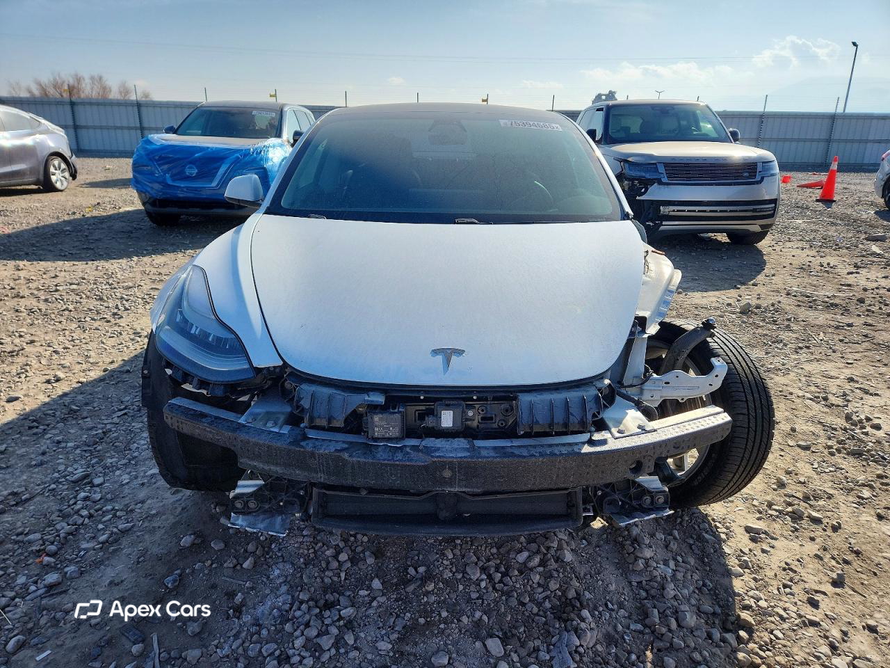 Tesla Model 3 2019