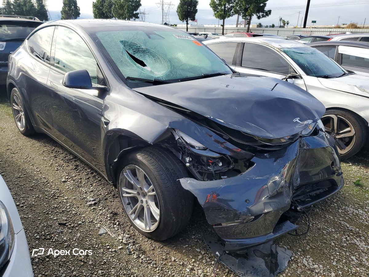 Tesla Model Y 2024
