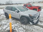 Toyota RAV 4 2025