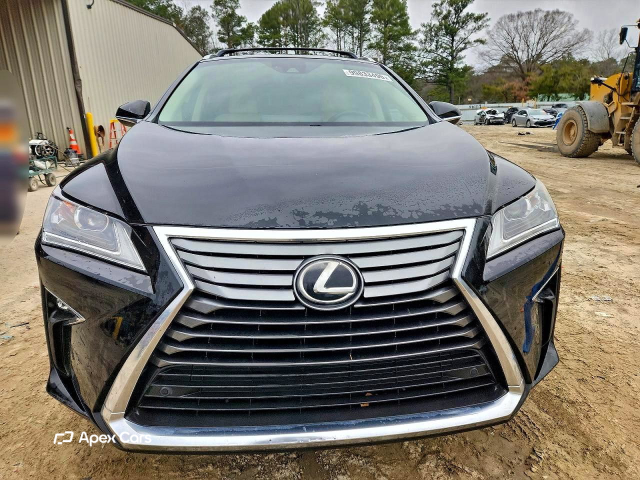 Lexus RX 2019
