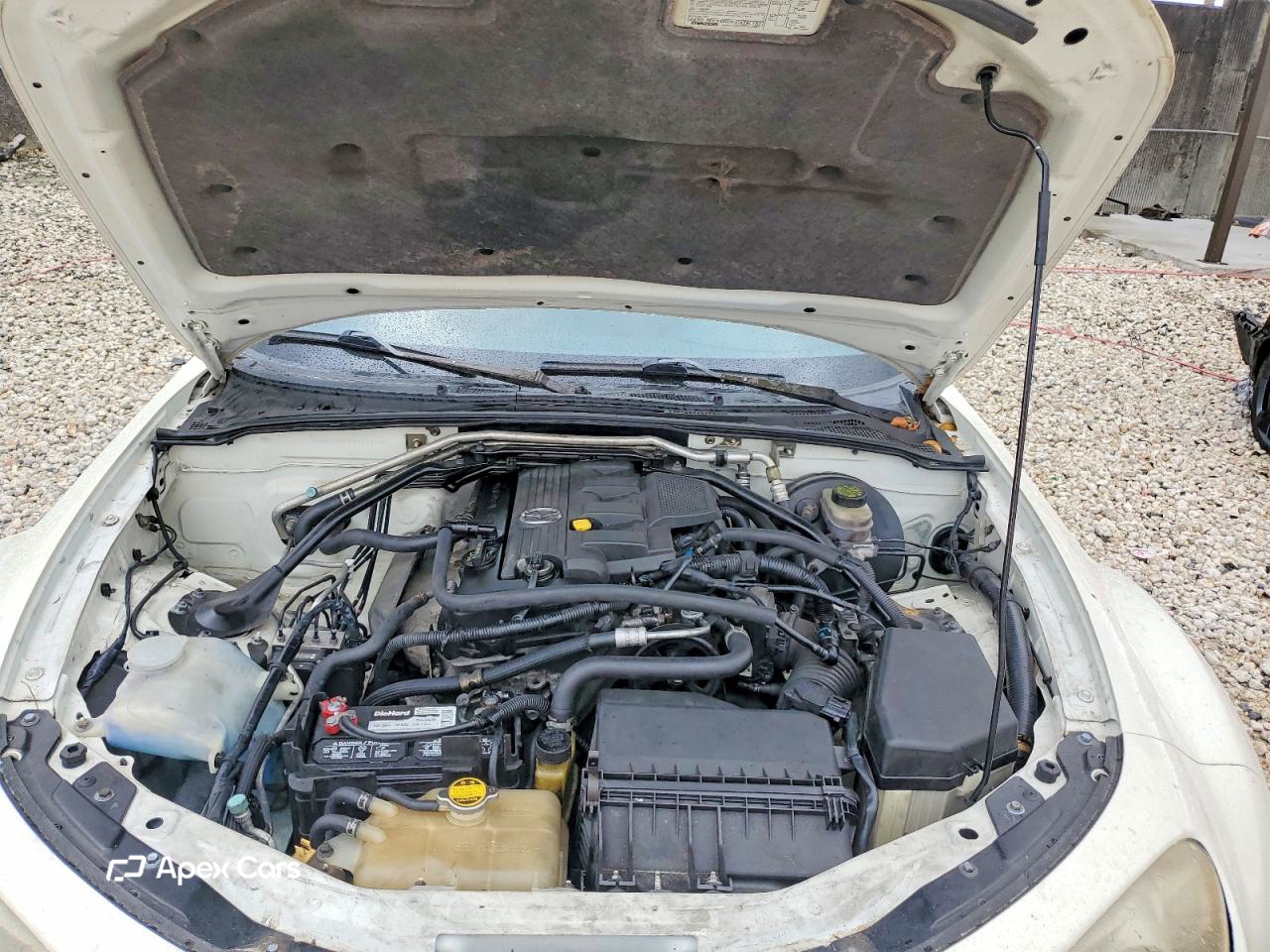 Mazda MX-5 2006