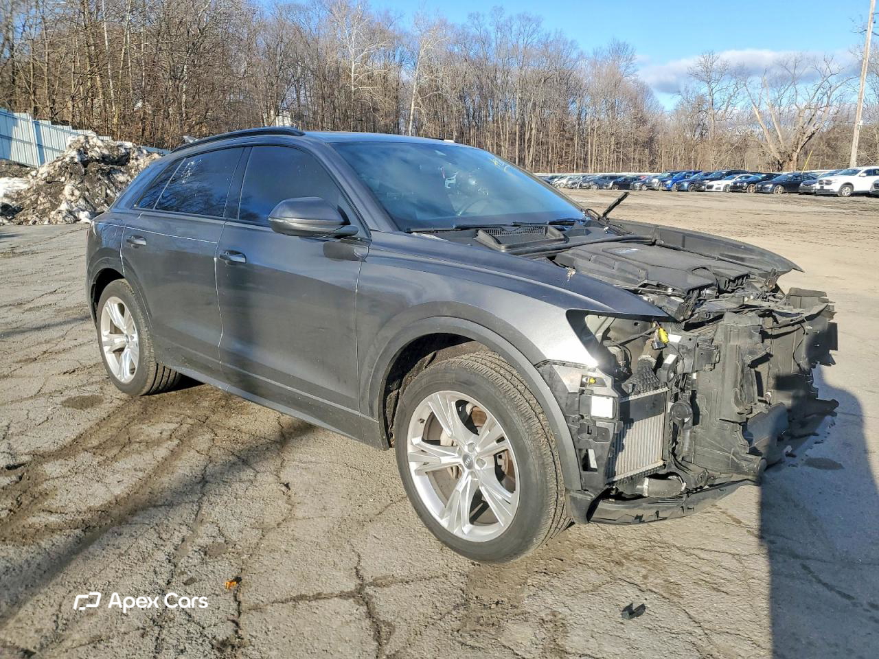 Audi Q8 2019