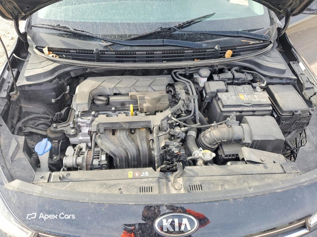 Kia Rio 2021