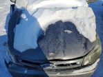 Ford Focus 2010
