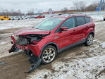 Ford Escape 2014