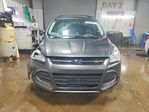Ford Escape 2016