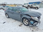 Kia Optima 2015