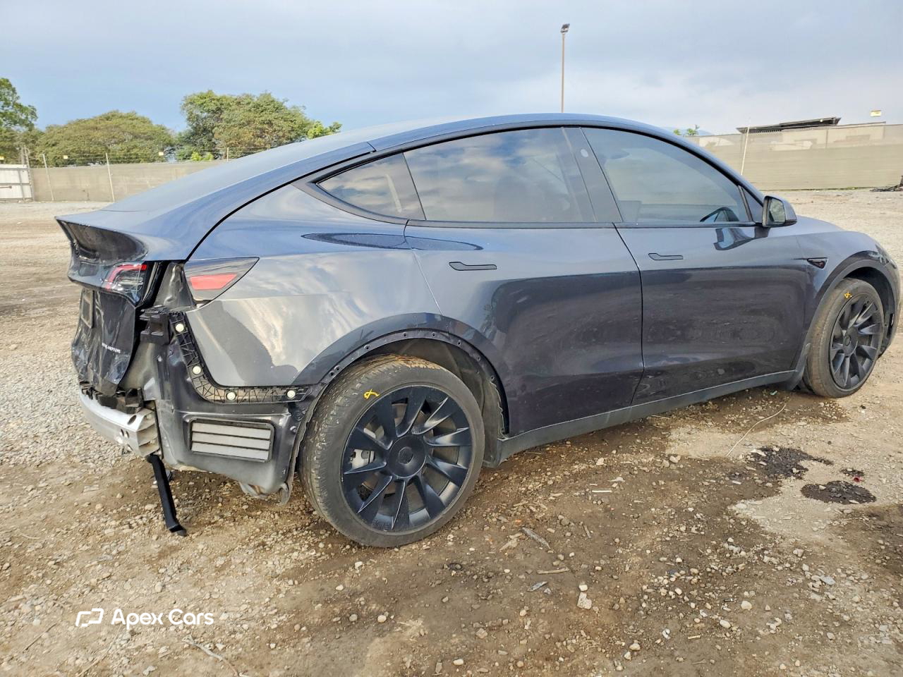 Tesla Model Y 2024