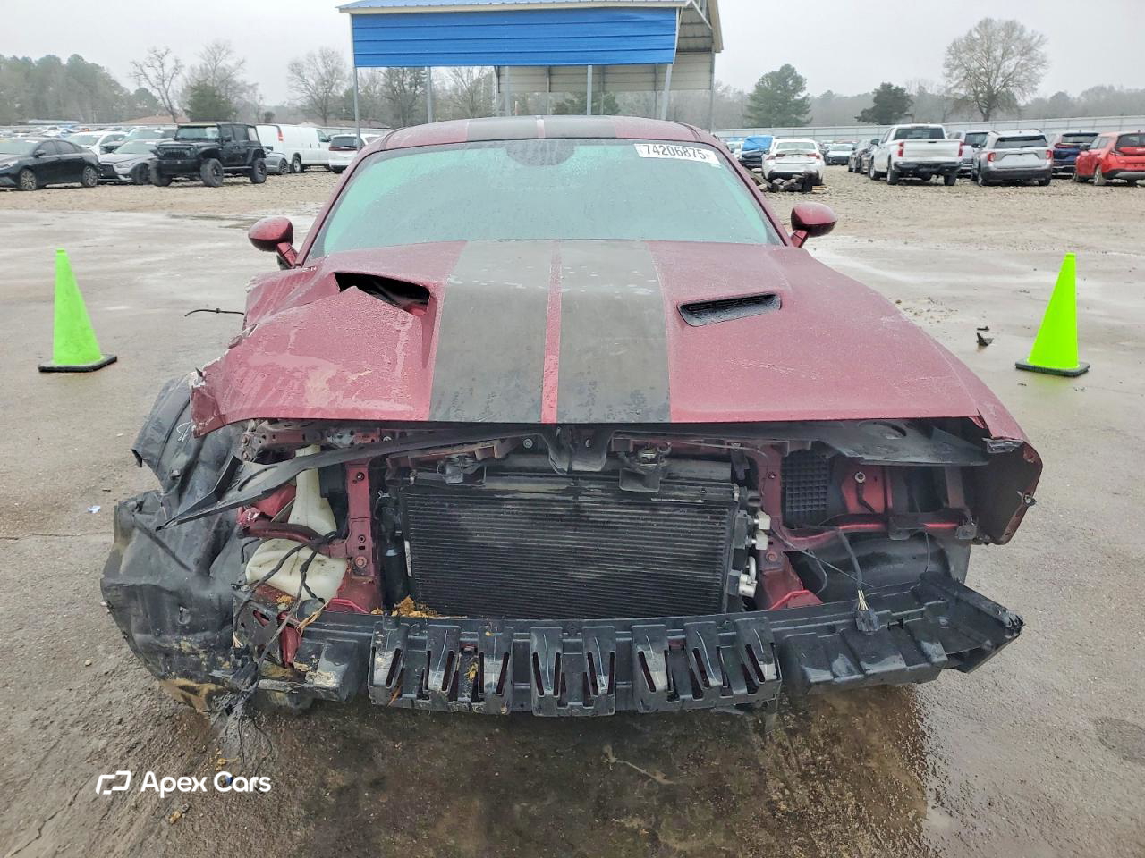 Dodge Challenger 2019
