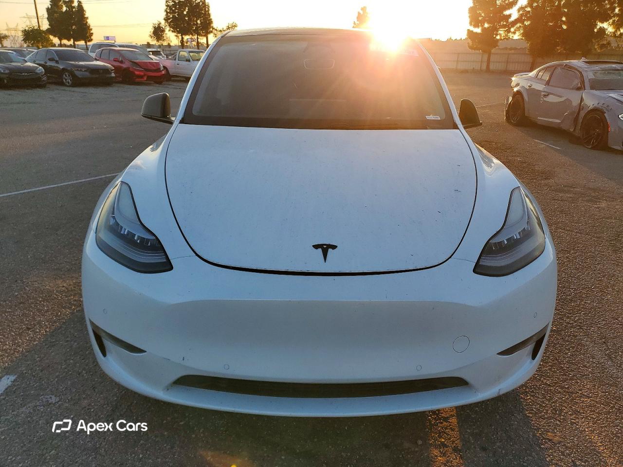 Tesla Model Y 2020