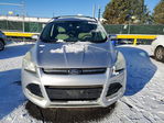 Ford Escape 2013