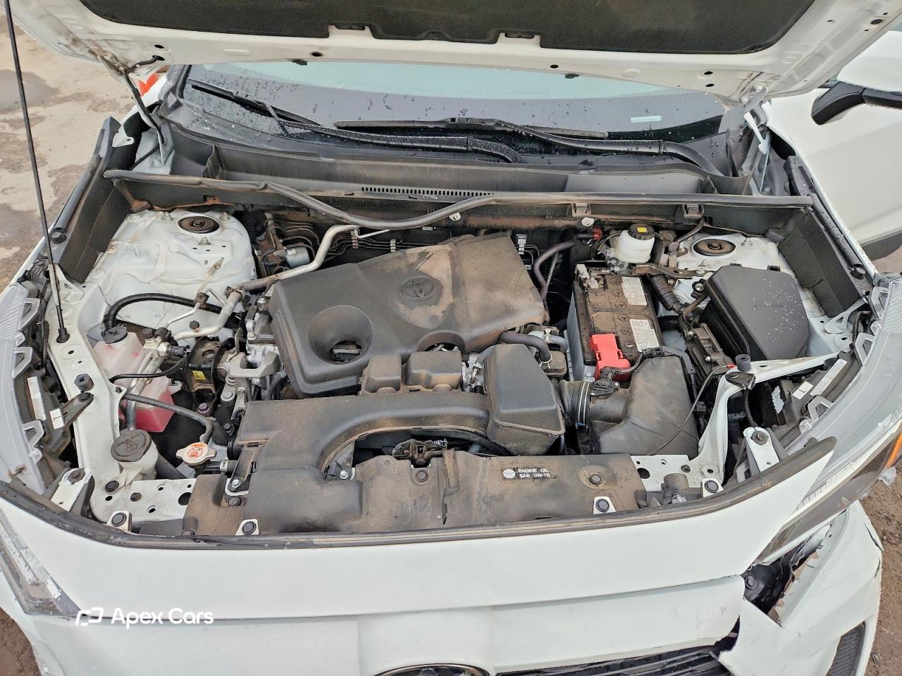 Toyota RAV 4 2024