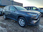 Toyota RAV 4 2024