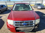 Ford Escape 2011
