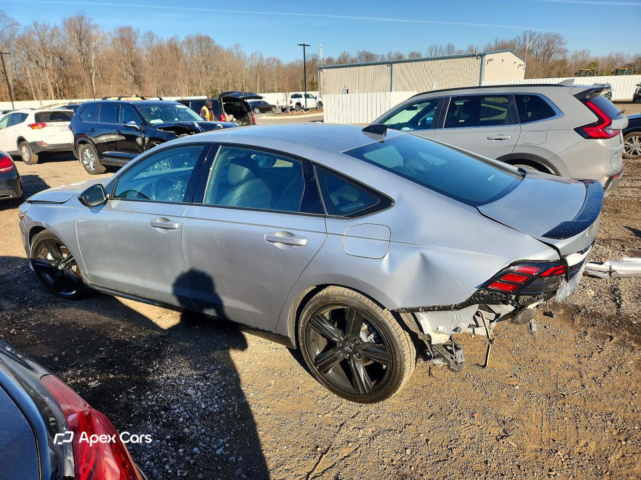 Honda Accord 2024