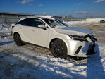 Lexus RX 2025