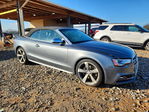 Audi S5 2014