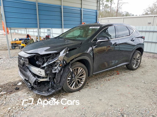 Lexus NX 2026 - Image 1 of 14