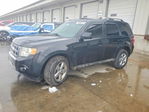 Ford Escape 2009