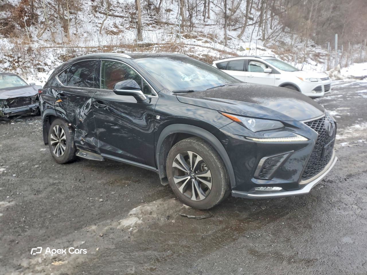 Lexus NX 2020