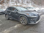 Lexus NX 2020