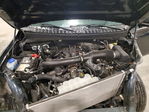 Ford Expedition 2024