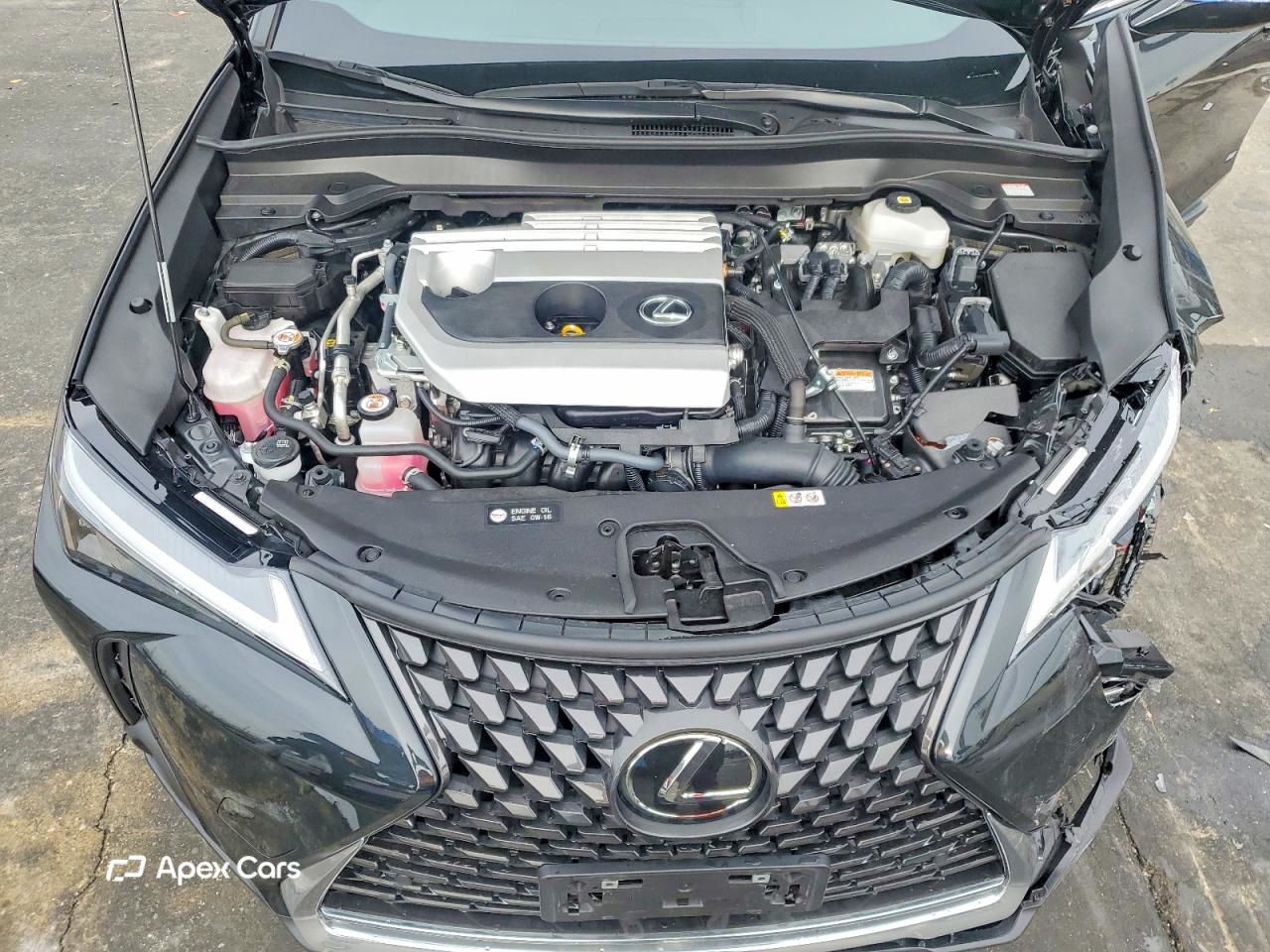 Lexus UX 2023