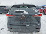 Lexus NX 2019