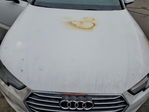 Audi A4 2017