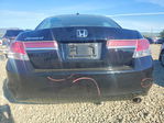 Honda Accord 2012