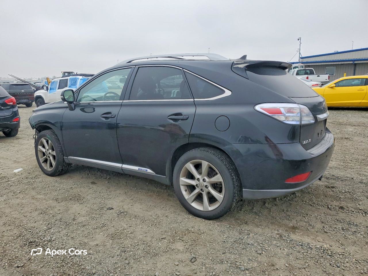 Lexus RX 2010