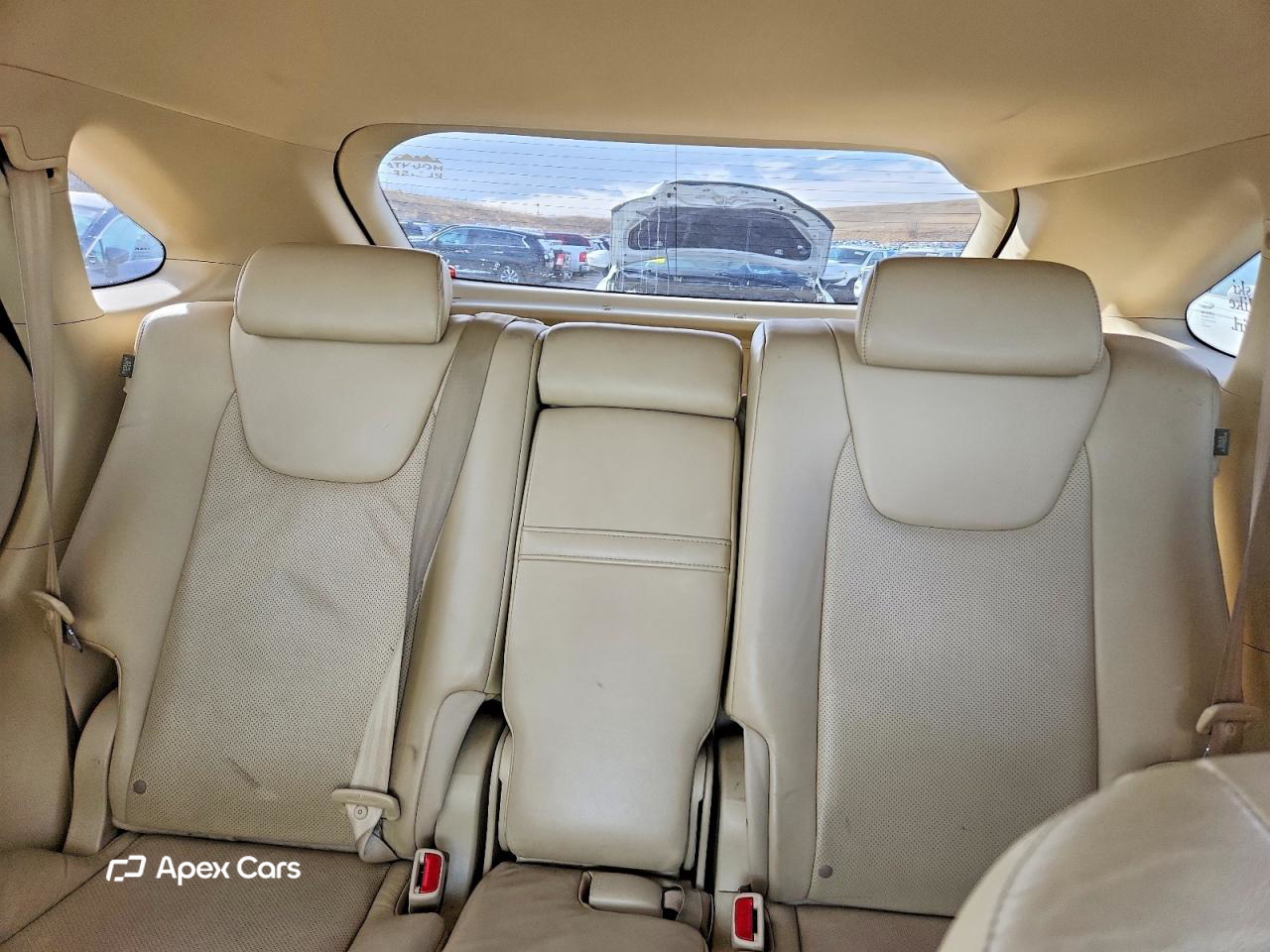 Lexus RX 2010