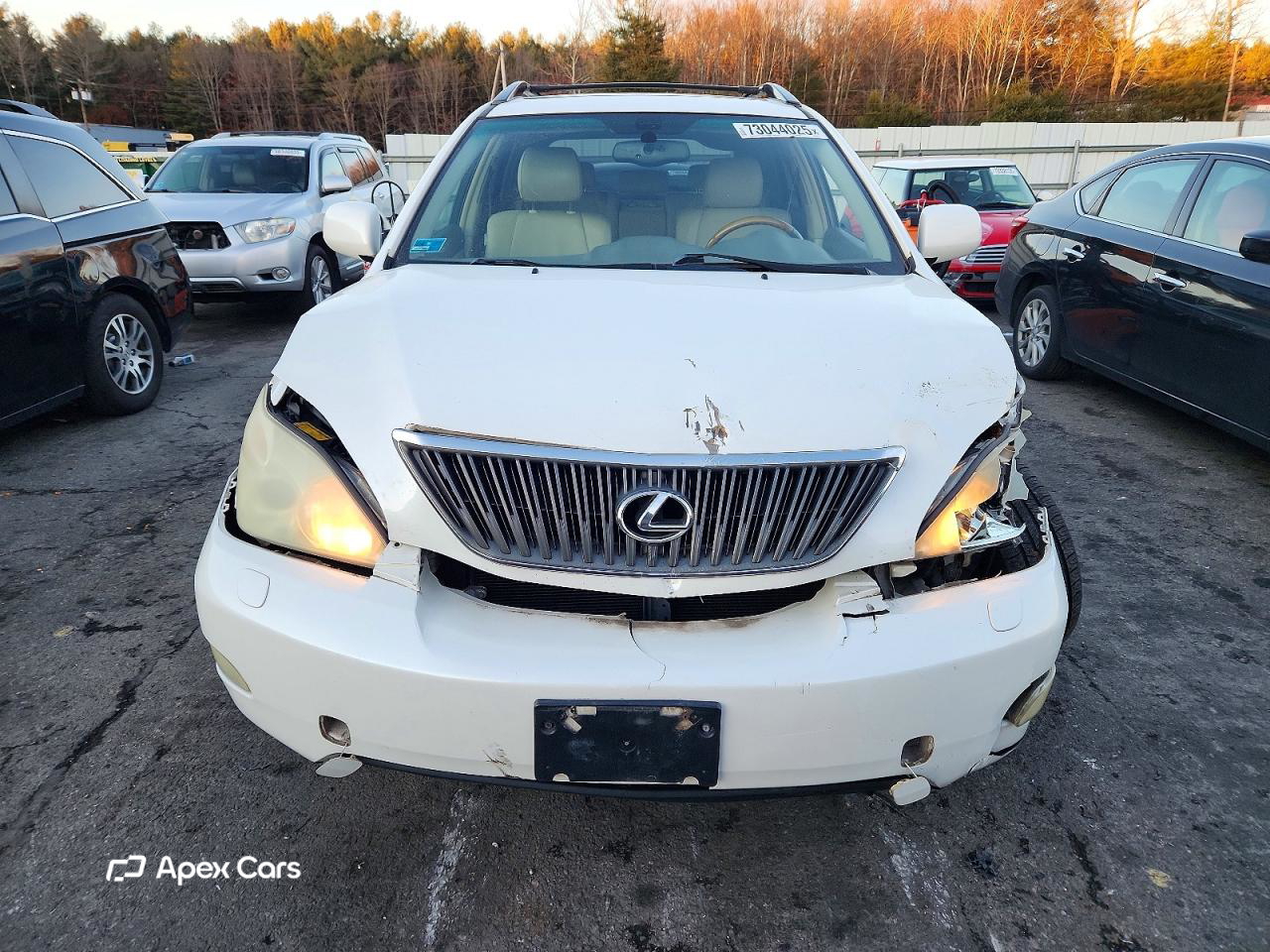 Lexus RX 2004