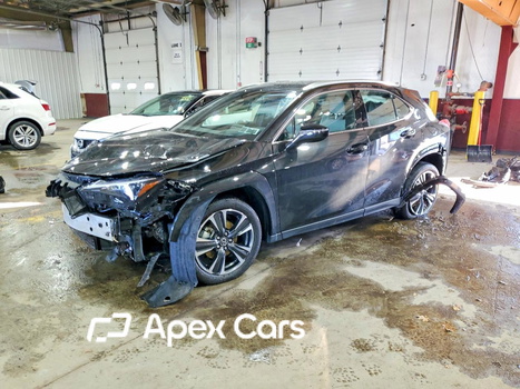 Lexus UX 2025 - Zdjęcie 1 z 15