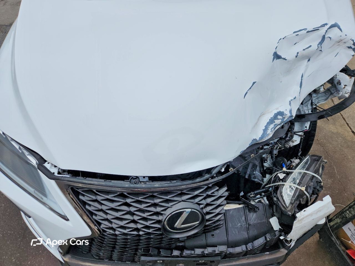 Lexus RX 2021