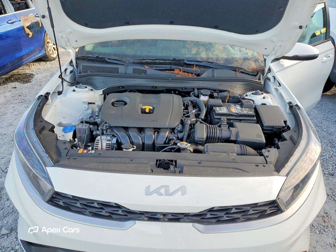 Kia Forte 2024