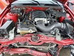 Ford Mustang 2008
