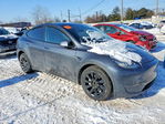 Tesla Model Y 2020