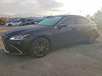 Lexus ES 2024