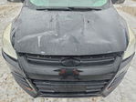 Ford Escape 2013