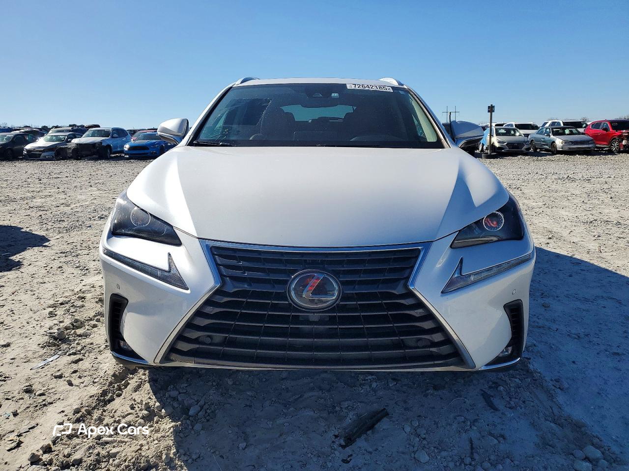 Lexus NX 2020