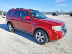 Ford Escape 2010