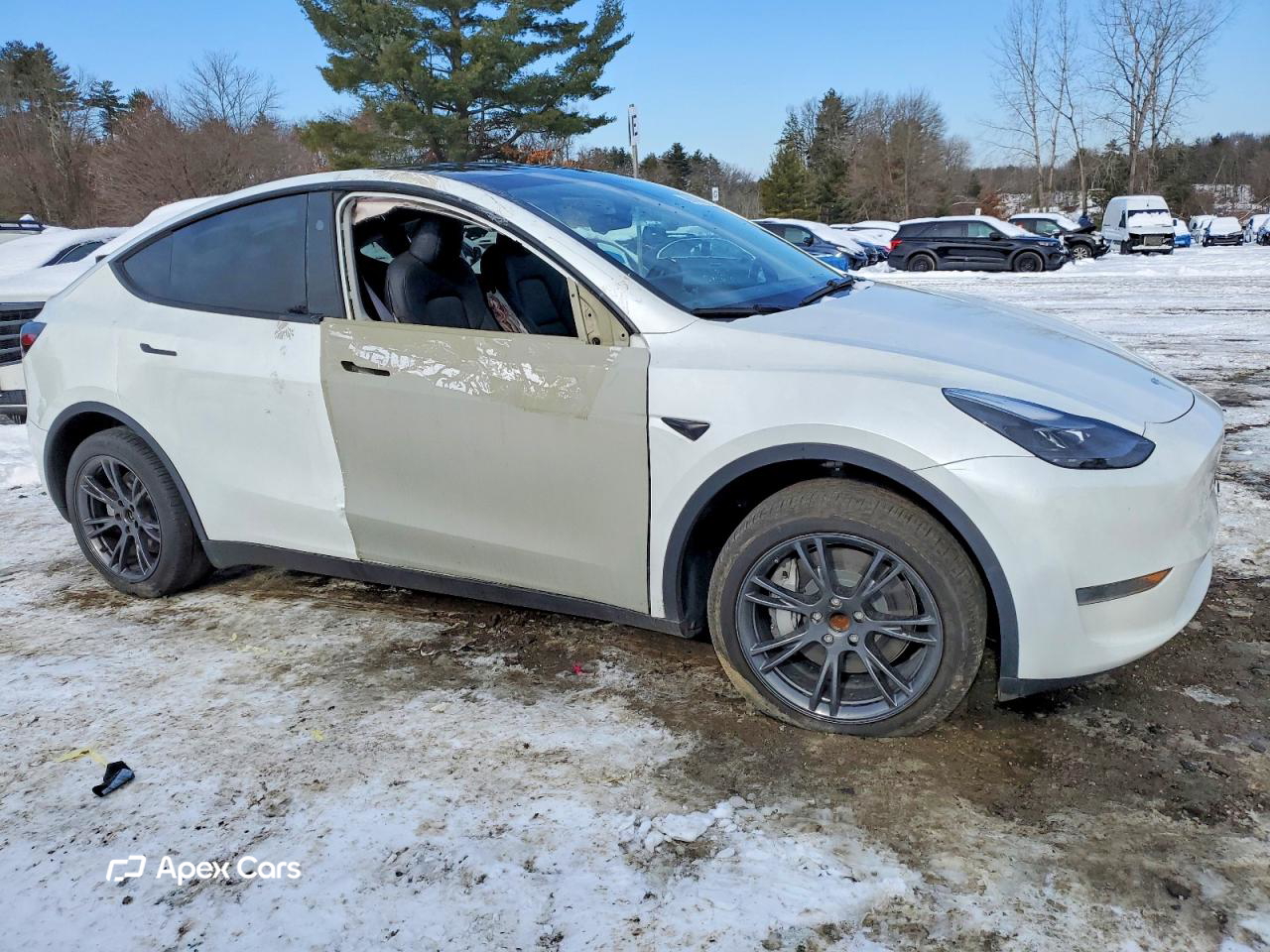 Tesla Model Y 2024