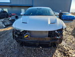 Dodge Hornet 2024