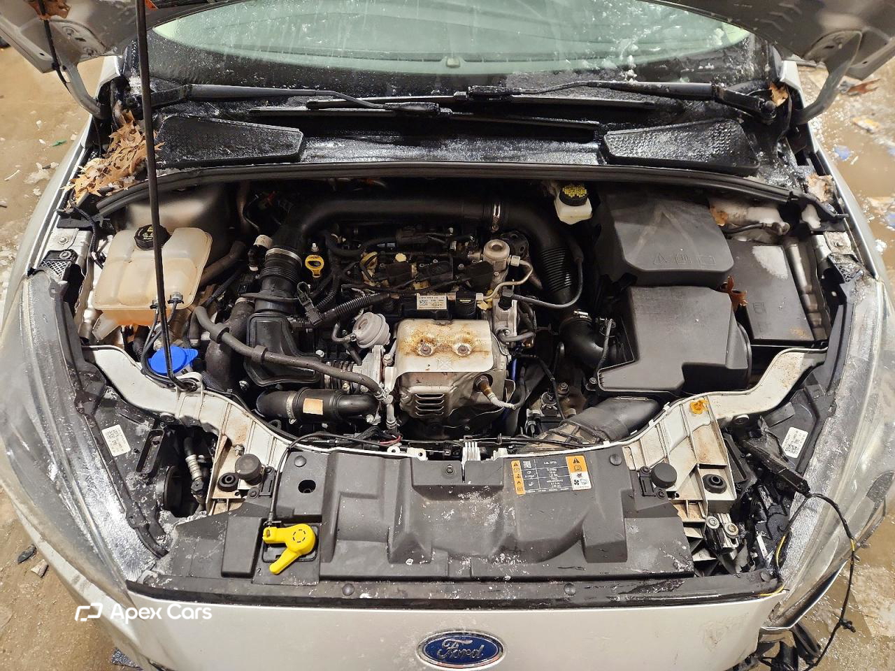 Ford Focus 2017