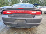 Dodge Charger 2014